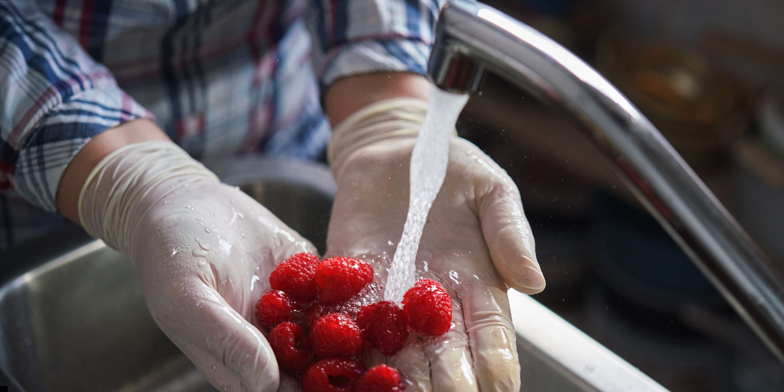 Good and safe food hygiene practices in the food industry.